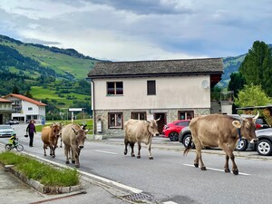 Bild 25_1cdnhp5w3d6p3.jpg